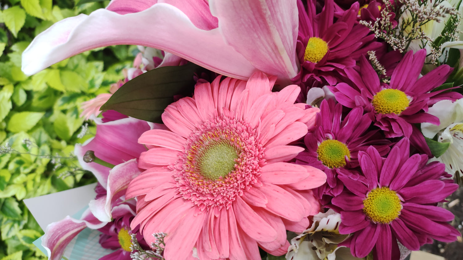 Arreglos con gerberas