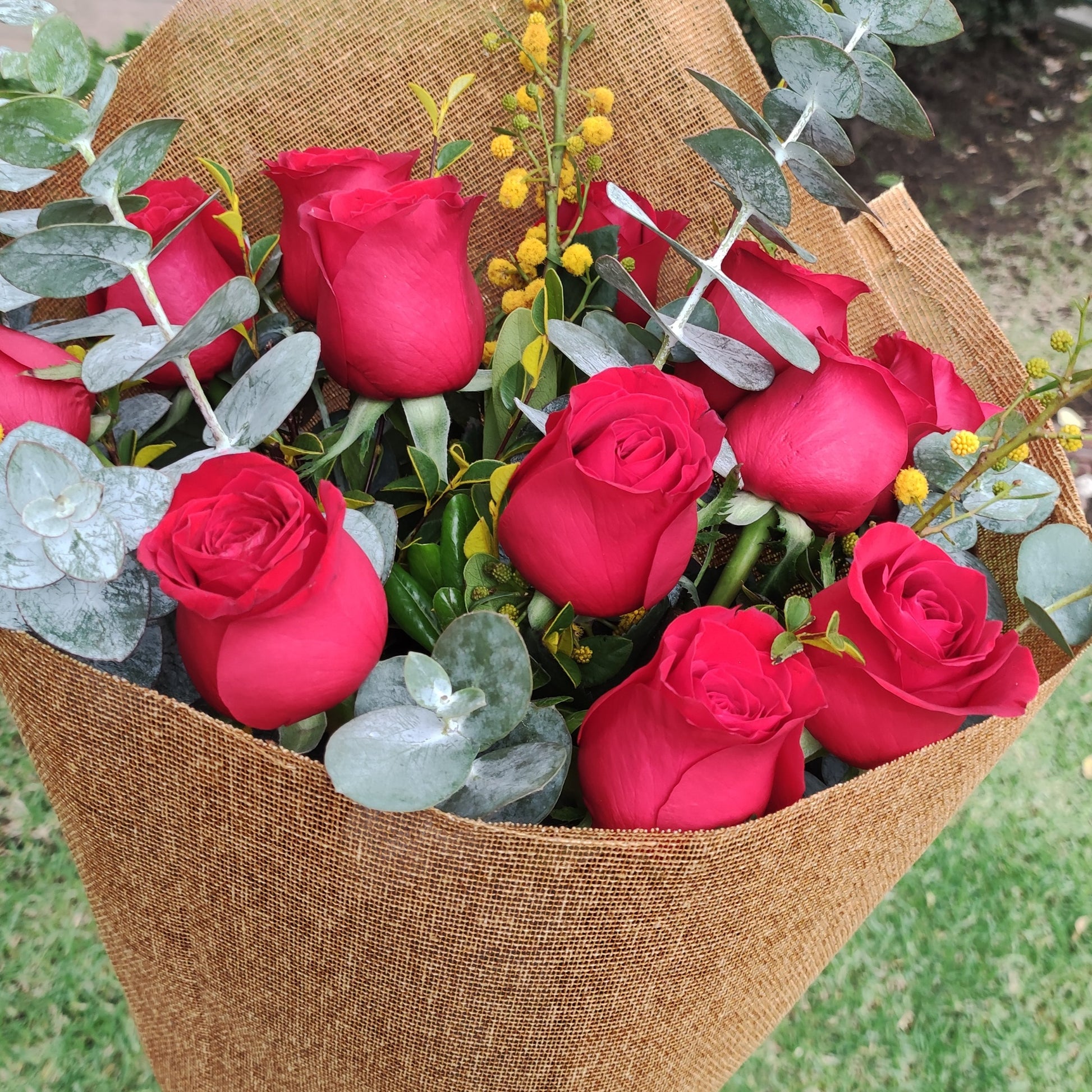 Rosas hermosas