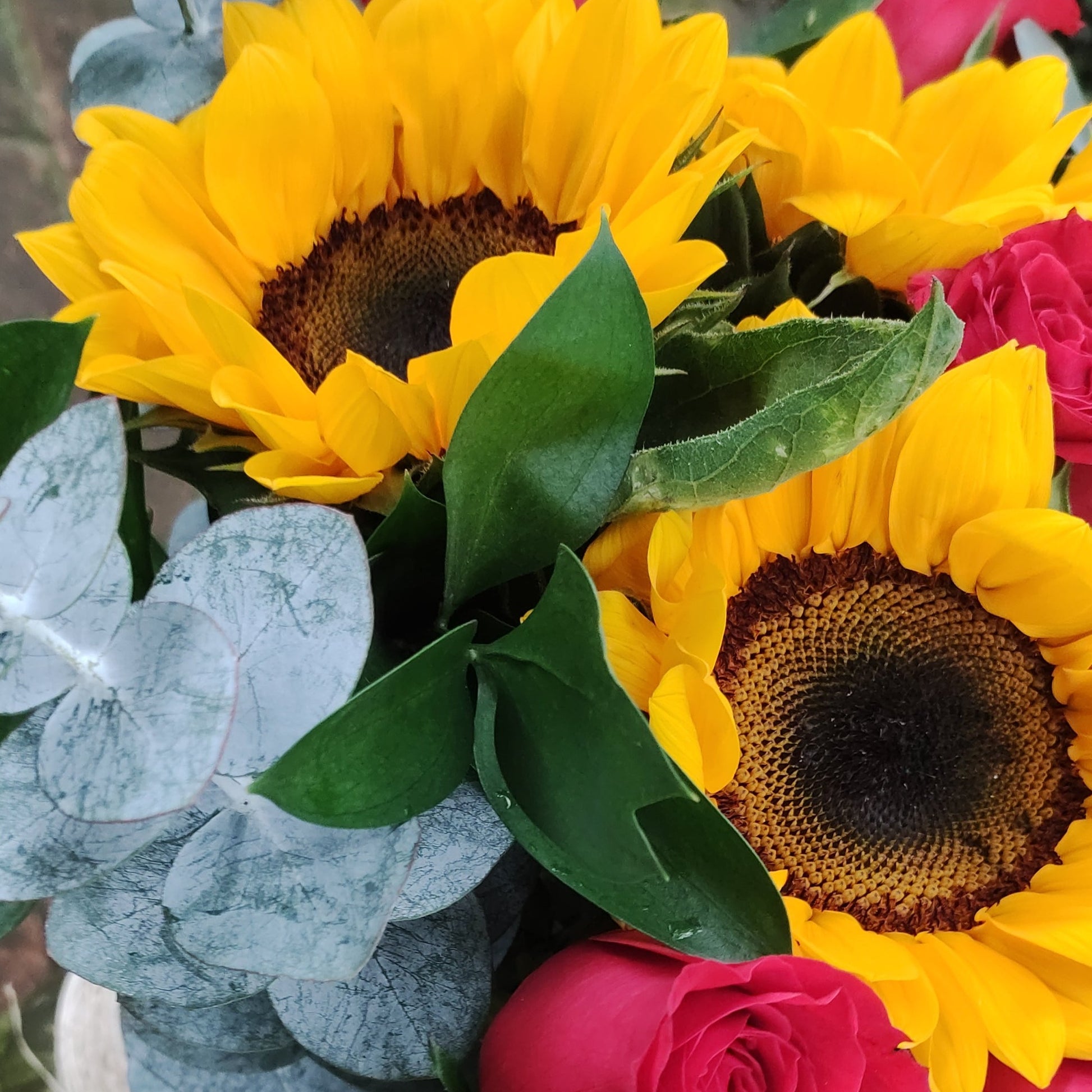 Rosas y girasoles