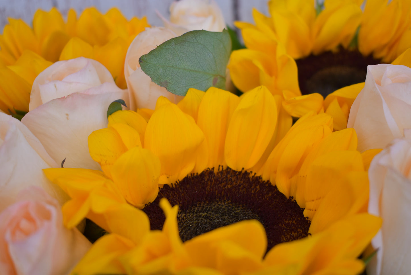 Arreglos de flores con girasoles