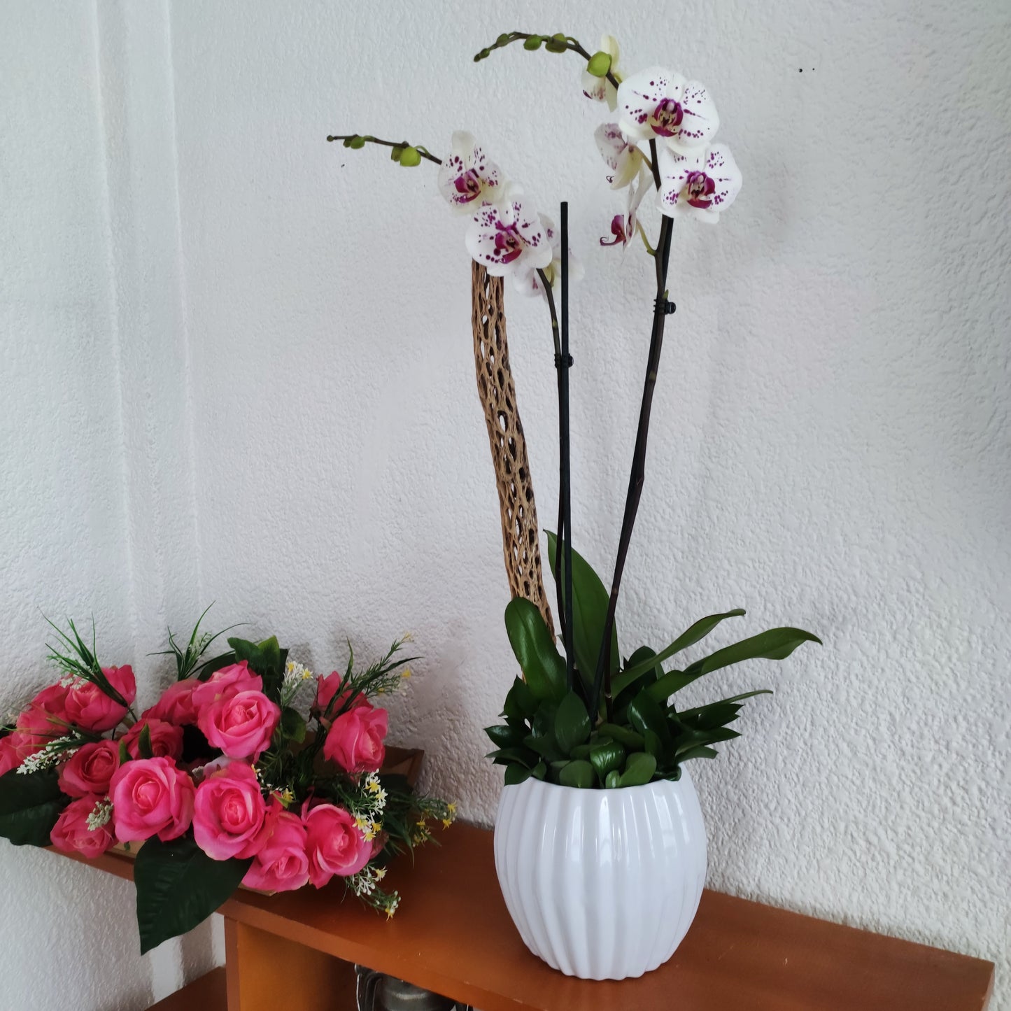 Orquídeas en maceta de porcelana